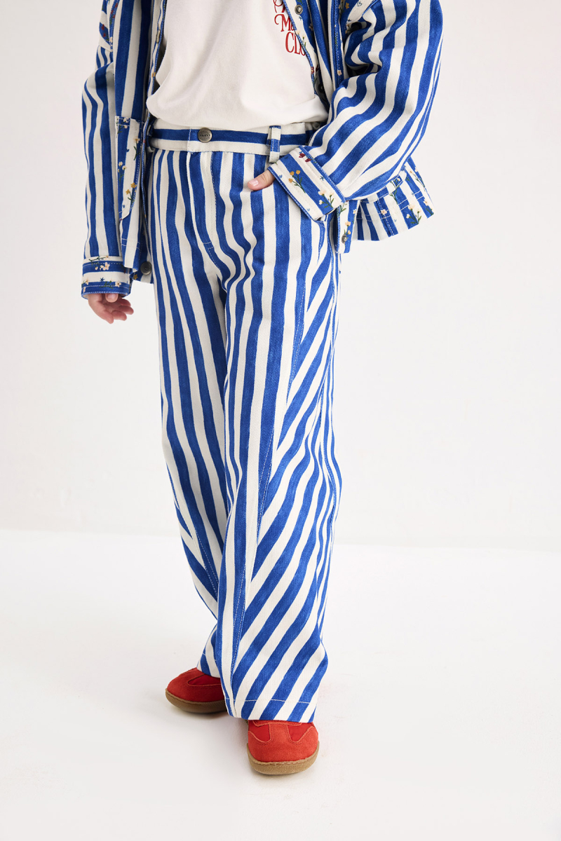 Finn Blue Striped Pants - 2