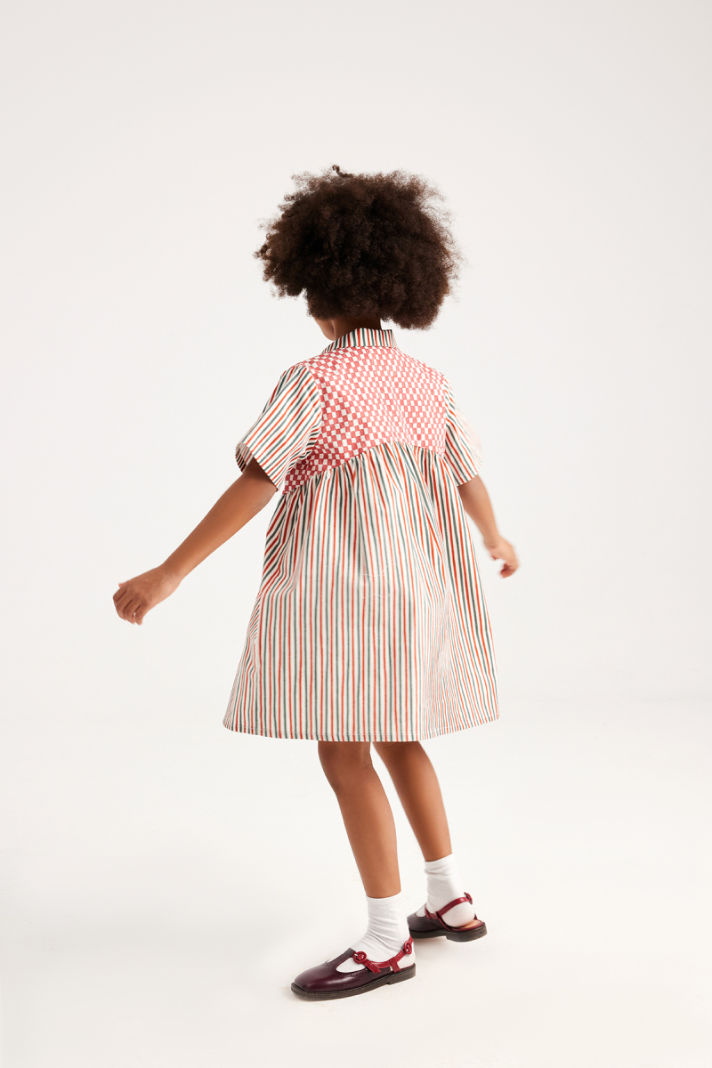 Lola Checkered Striped Dress - 5