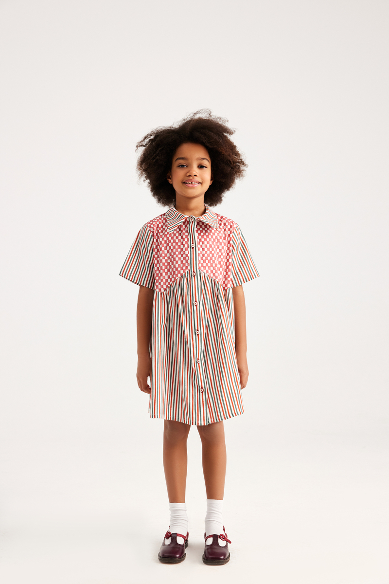Lola Checkered Striped Dress - 1