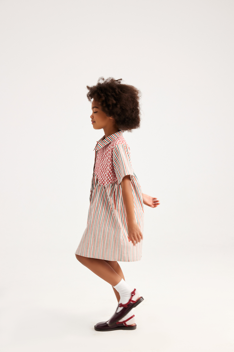 Lola Checkered Striped Dress - 3